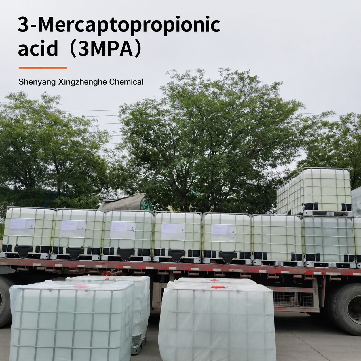 3-Mercaptopropionic acid(3MPA) (1).png