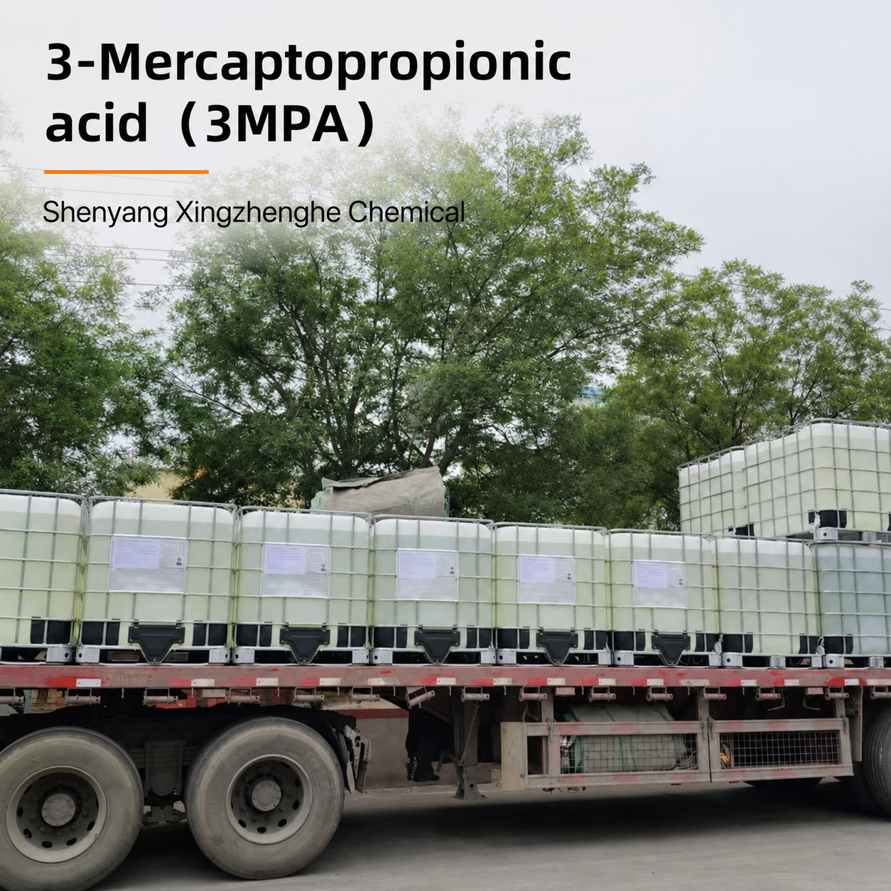 3-Mercaptopropionic acid（3MPA） (4).png